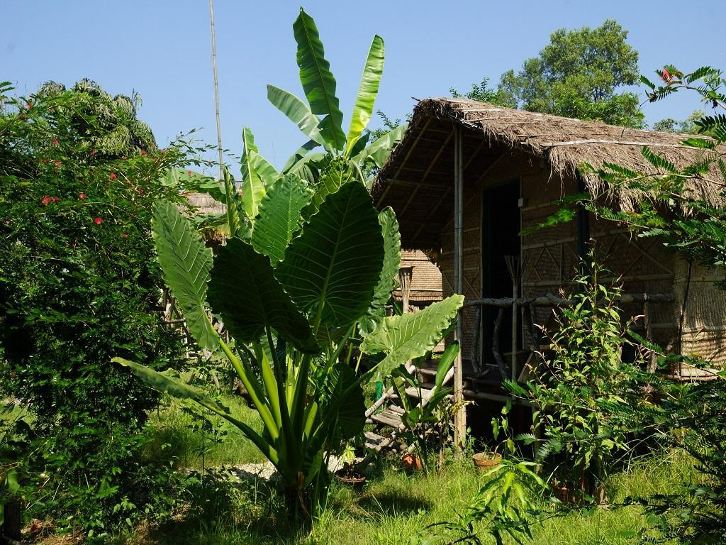 Pemsee's Tree Town - Eco Treehouse Hostel