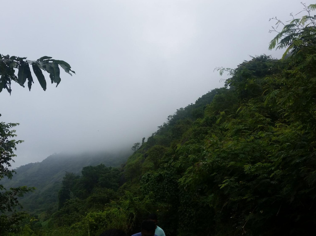 Kumaragiri Farm & Nature Camp-Malappuram必去景点