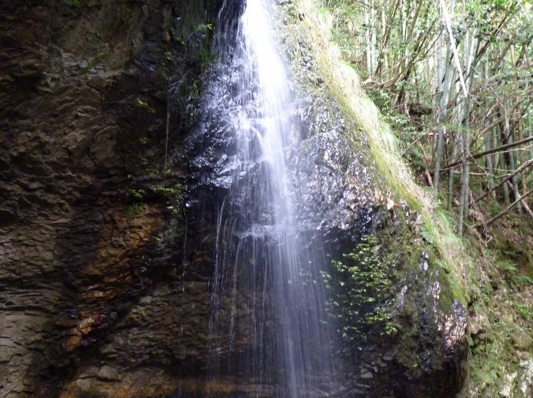 Nijigataki Fall-出云市必去景点