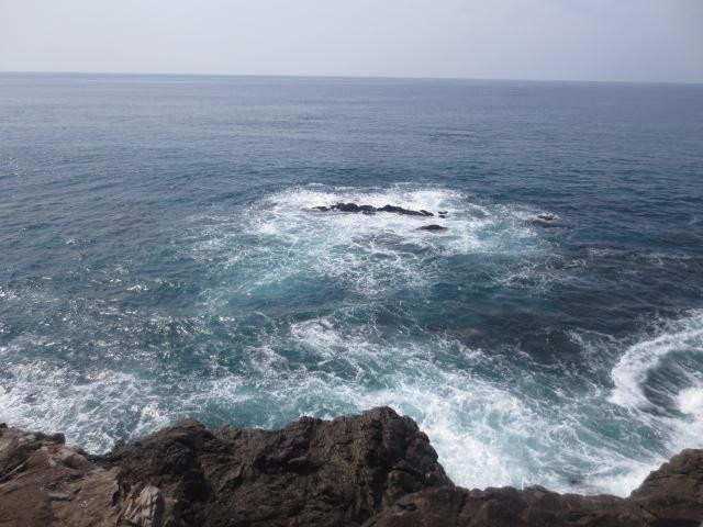 Ryuomisaki Lookout-高知市必去景点
