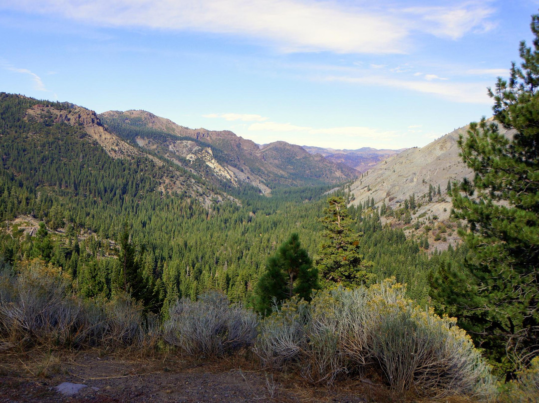 Ebbetts Pass Scenic By-way景点图片
