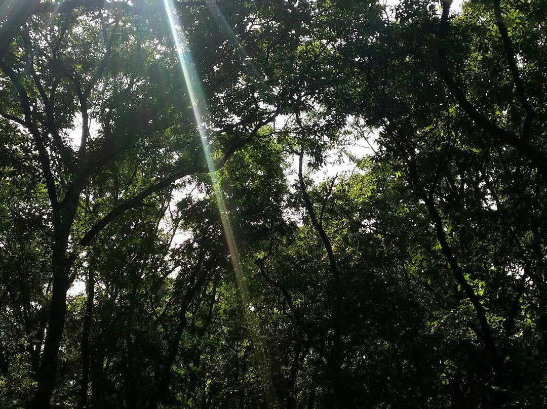 皇藏峪-萧县必去景点