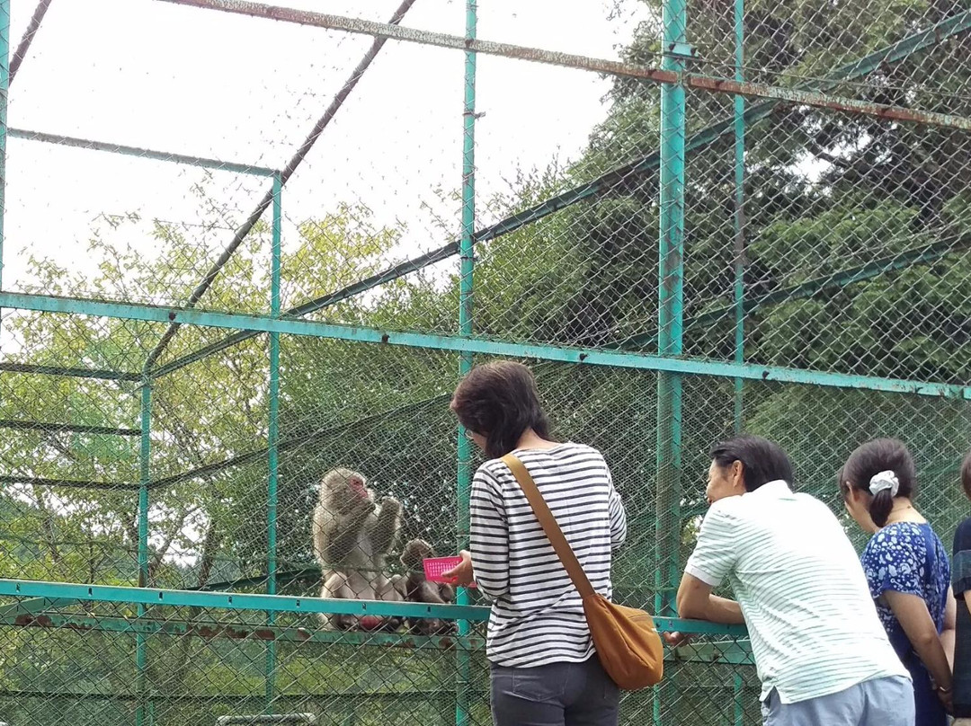 Monkey Showman Theater景点图片