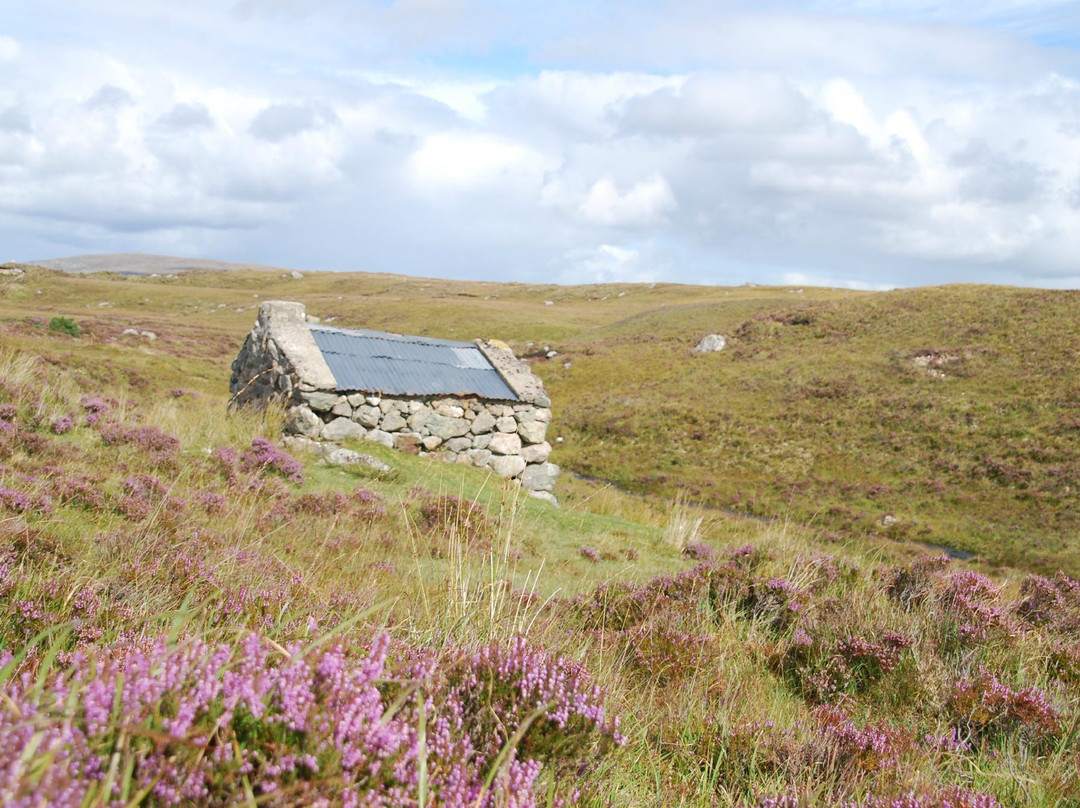 Ireland West Tours景点图片