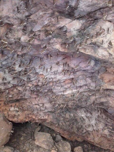 Hayes Creek旅游攻略图片