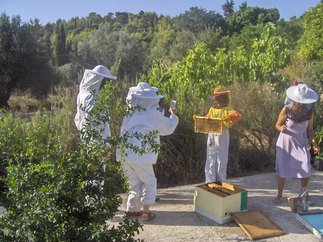 Dias Beekeeping-Svoronata必去景点