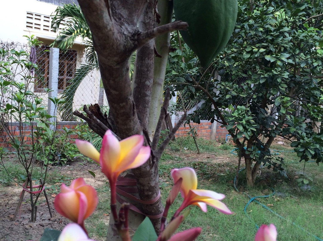 Mrs. Bun Roeung's Ancient House-马德望必去景点