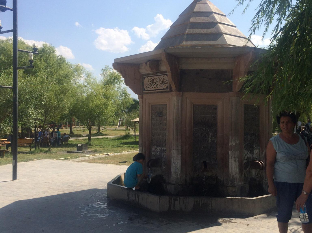 Ekşisu Mesire Alanı-Erzincan必去景点