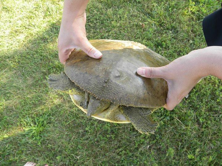 Smithville Lake-Smithville必去景点