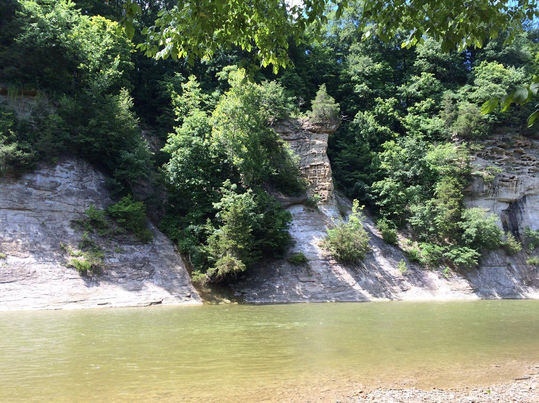 Clements Canoes Outdoor Center Canoe and Kayak Trips- Day Tours景点图片