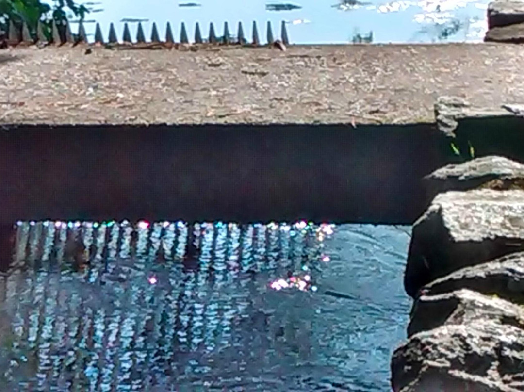 The Wayside Grist Mill-Sudbury必去景点