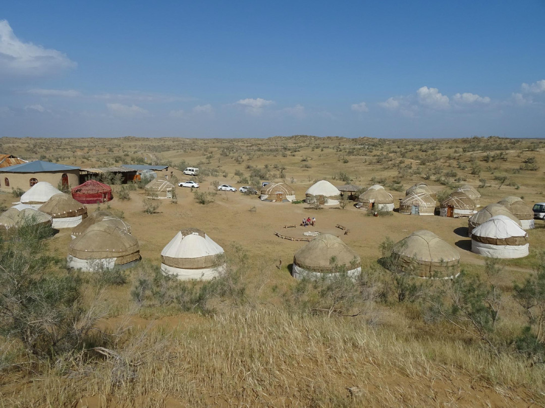 Yurt Camp Safari