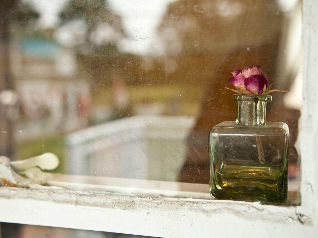 Lovie's Salon and Spa-卡罗拉必去景点