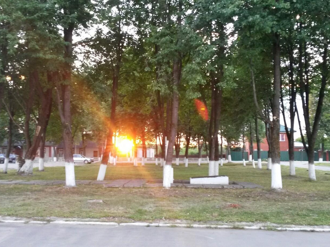 Zhukov旅游攻略图片