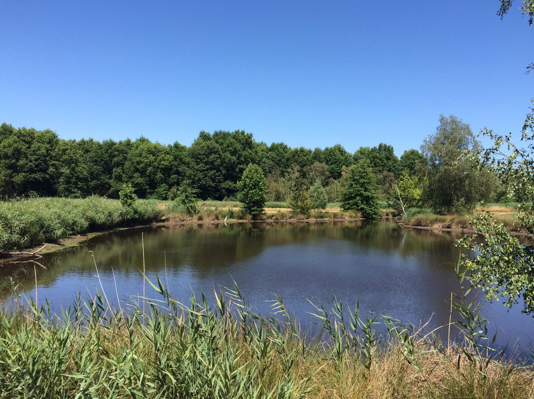 Parc Floral de Bordeaux Lac景点图片