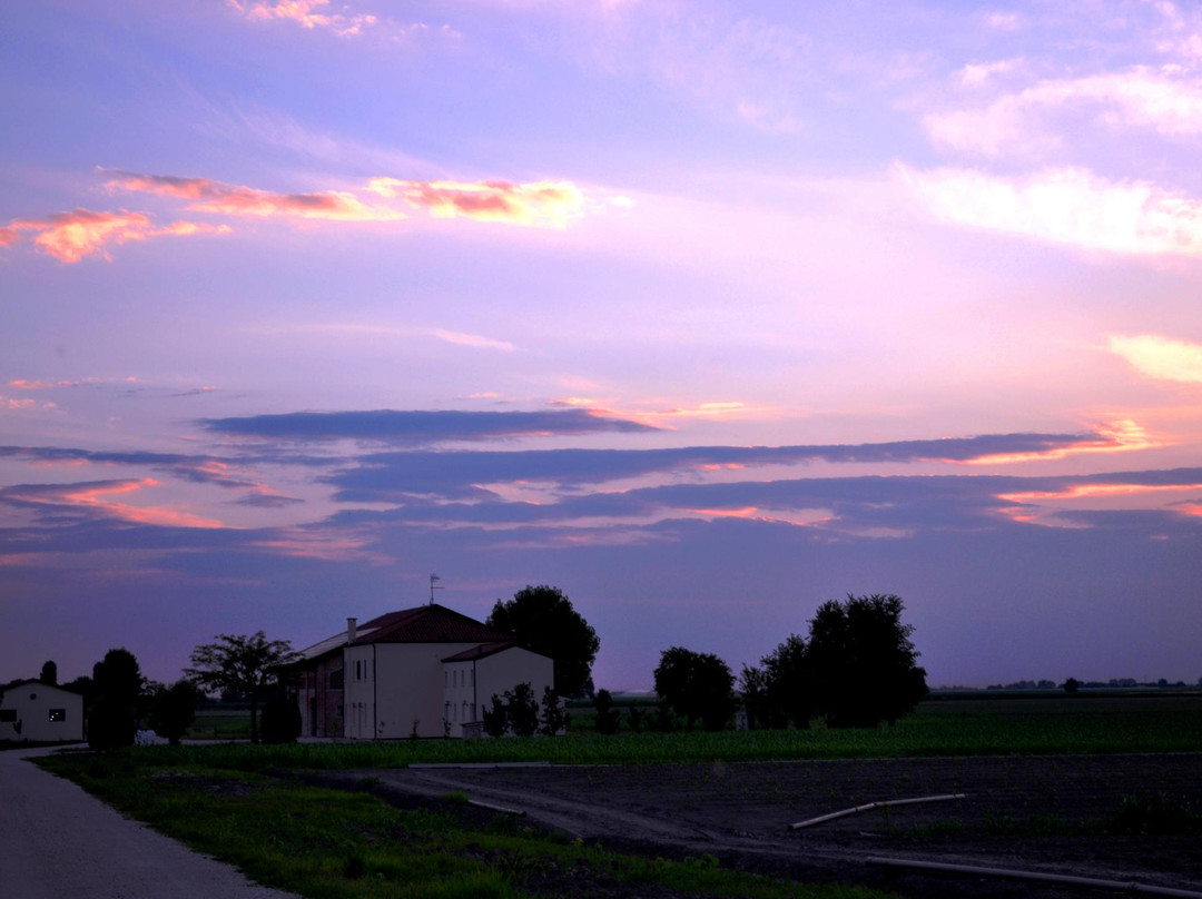 Tenuta la Comuna