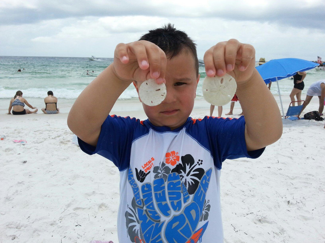 Shell Island-巴拿马城海滩必去景点