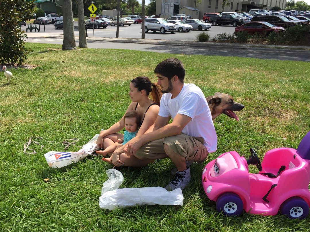 Lake Morton-莱克兰必去景点