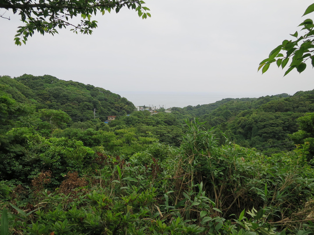 Shirasu Kashuku-湖西市必去景点