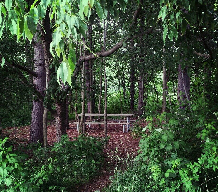 Moraine State Park景点图片