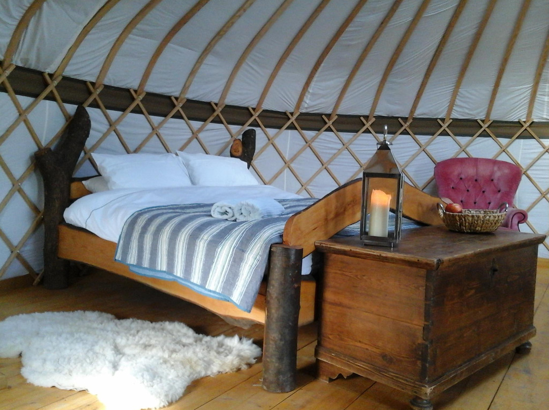 Surrey Hills Yurts
