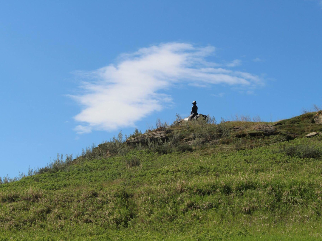 Cochrane Ranche Park-科克伦必去景点
