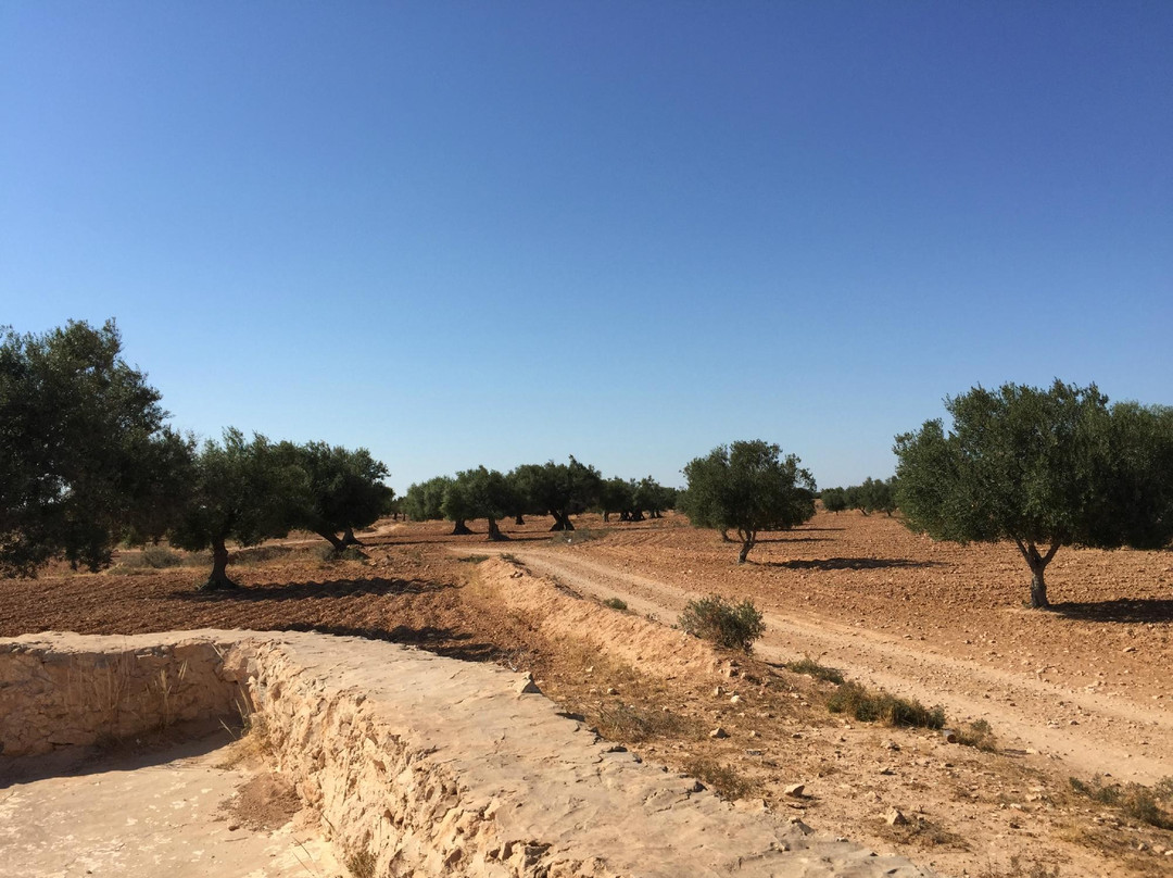 Mosquee Souterraine-Sedouikch必去景点