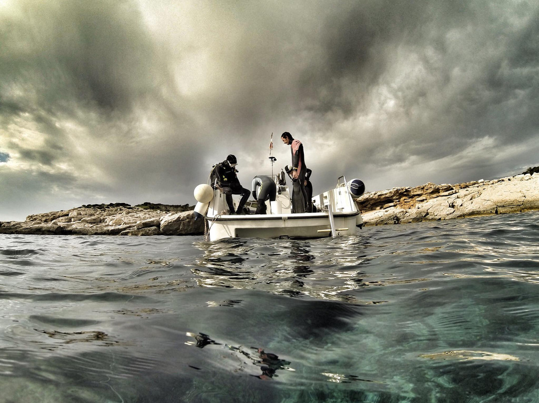 Sea Horse Scuba Diving Centre景点图片