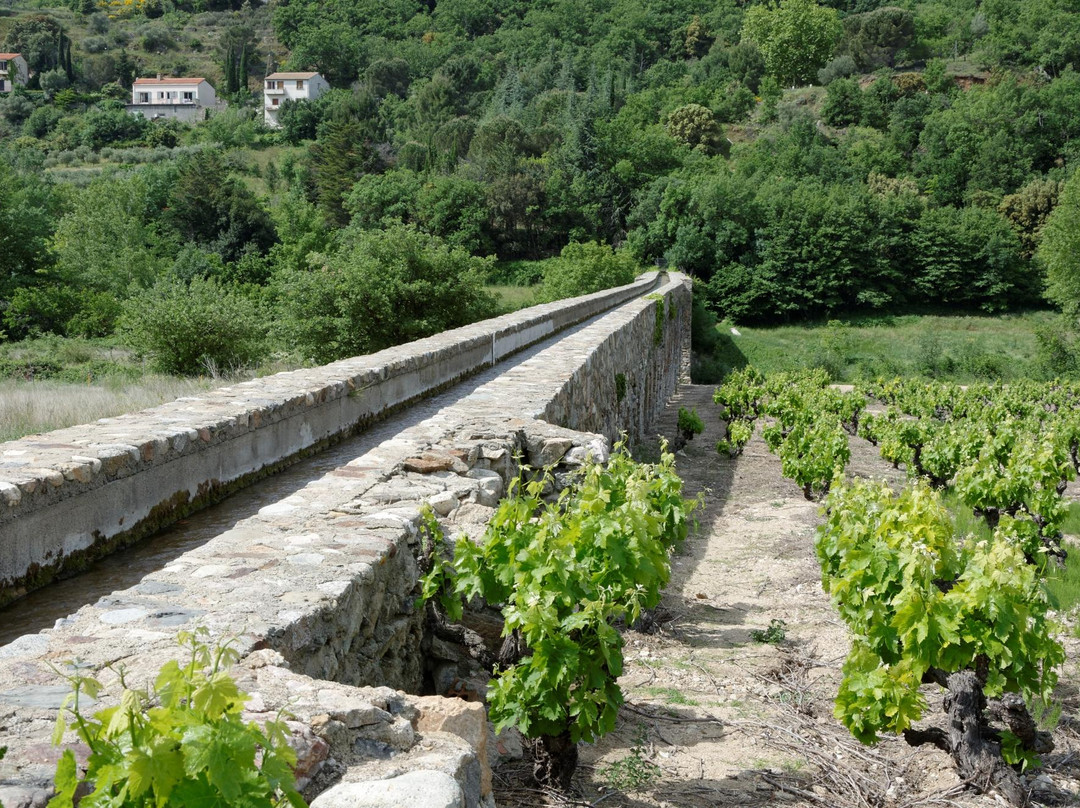 Sournia旅游攻略图片