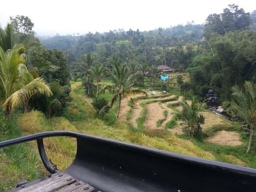 Bali Jeep Tours-Saba必去景点