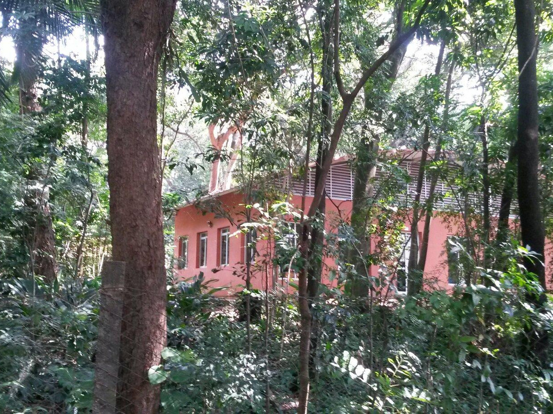 Bosque dos Italianos-坎皮纳斯必去景点