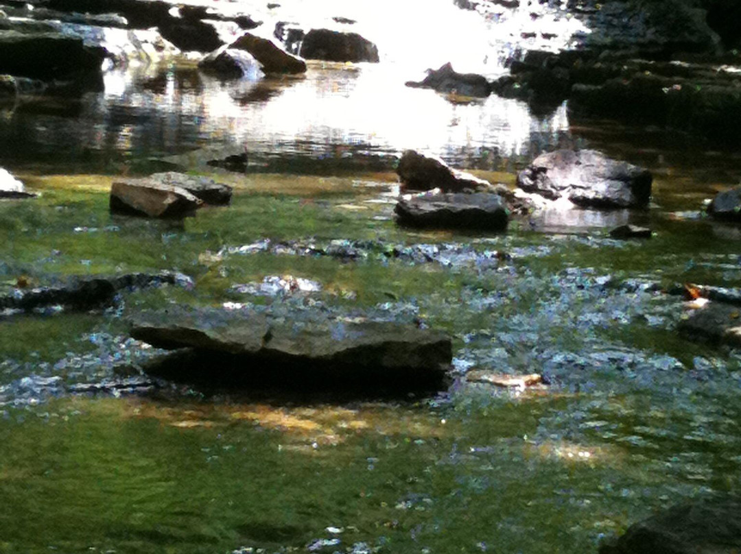 Indian Run Falls-都柏林必去景点