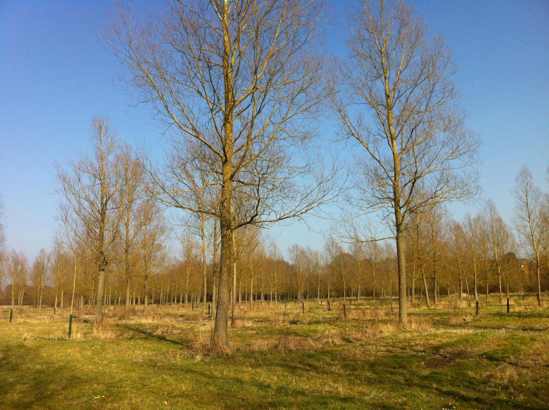 Whetmead Nature Reserve景点图片