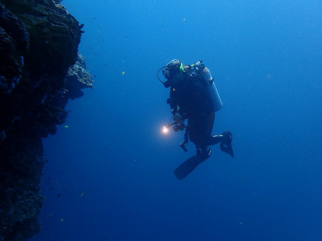 Lion Dive Centre景点图片
