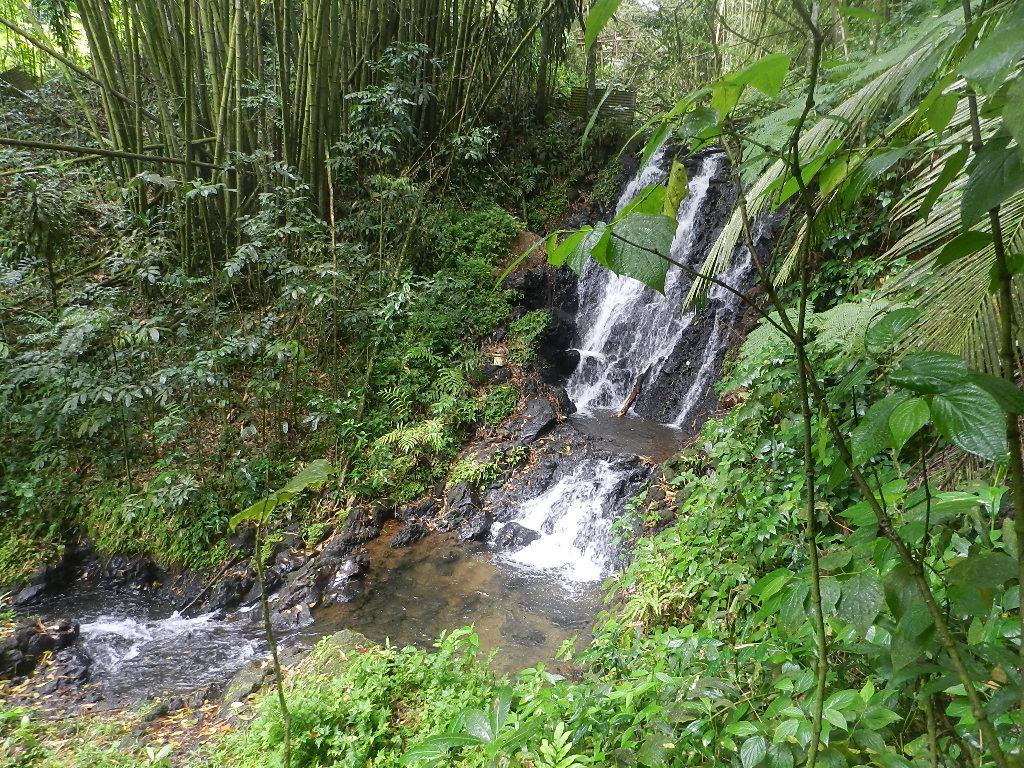 Cascade Saut Argis-Gros-Morne必去景点