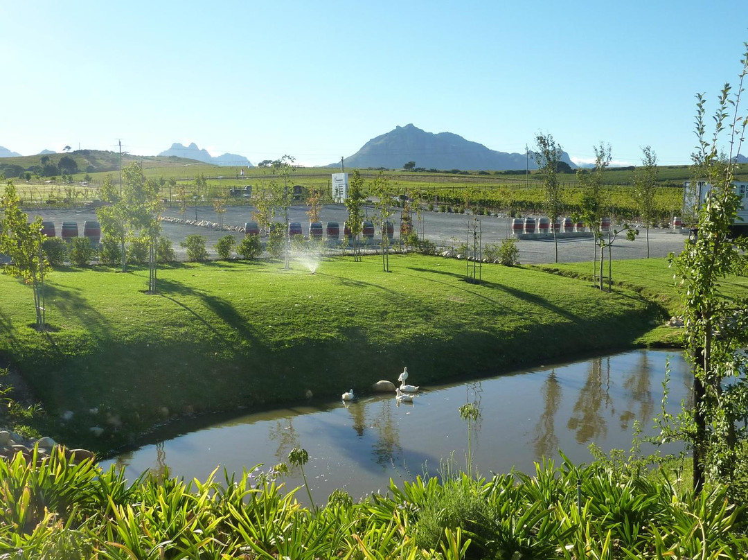 Klapmuts旅游景点-Brenaissance Wine & Stud Estate