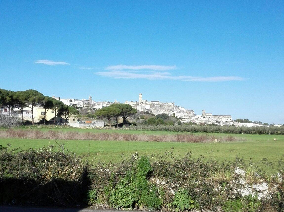 Villa della Vite