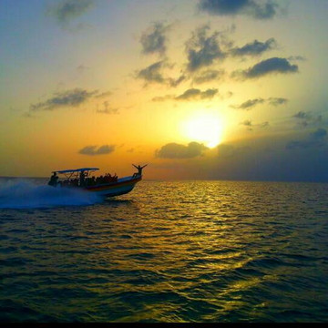 Pedrito Punta Cana-tatos Palm Beach-巴瓦罗必去景点