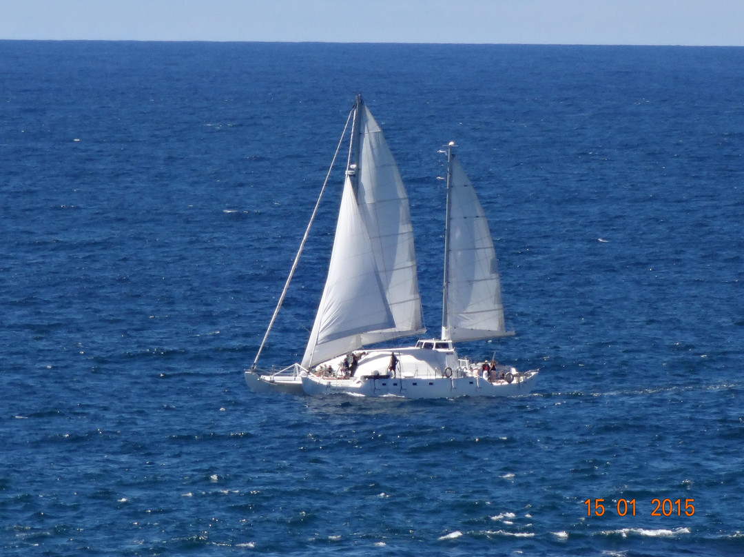 Pelican Expeditions-Bermagui必去景点