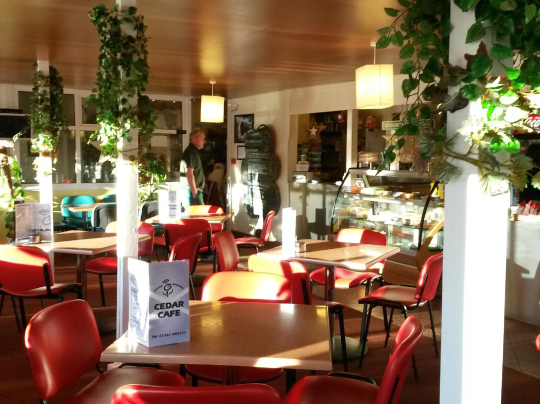 Longformacus餐馆和美食-Cedar Cafe