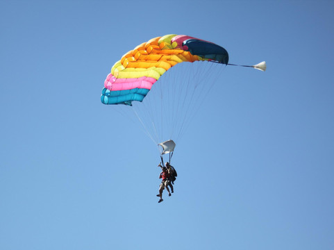 Skydive Southwest Florida-蓬塔戈尔达必去景点