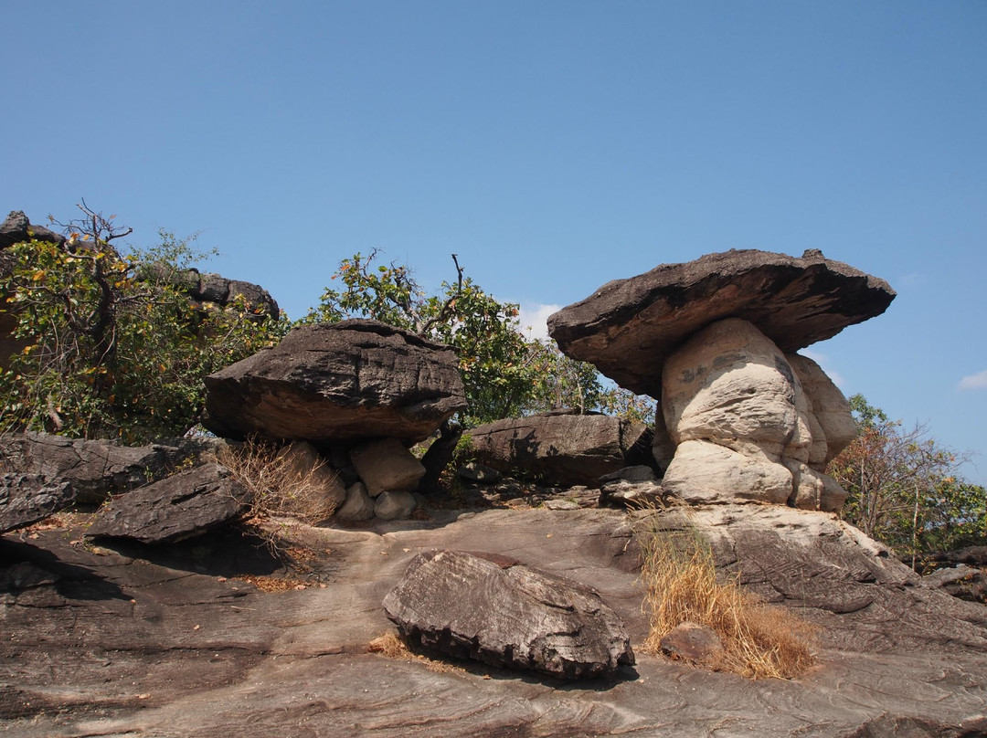 Phu Sa Dok Bua National Park景点图片