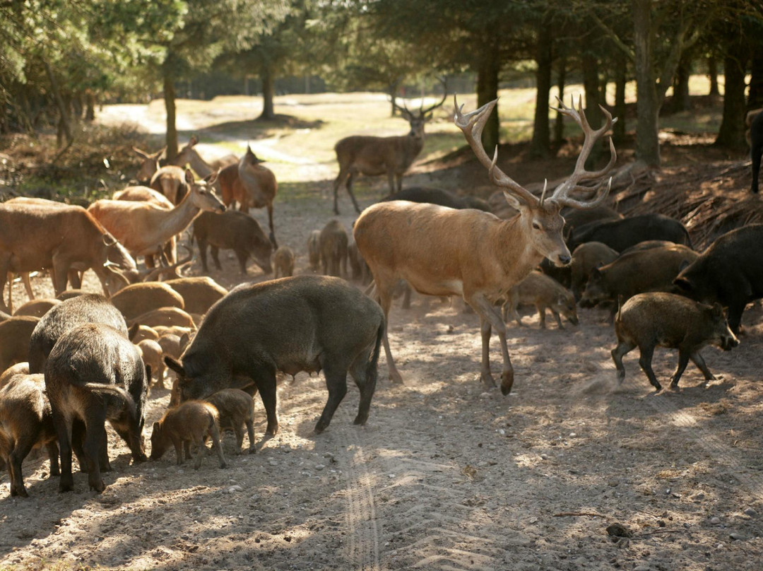 Vester Torup旅游攻略图片