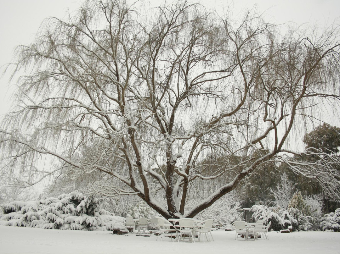 Ruslington B & B主图