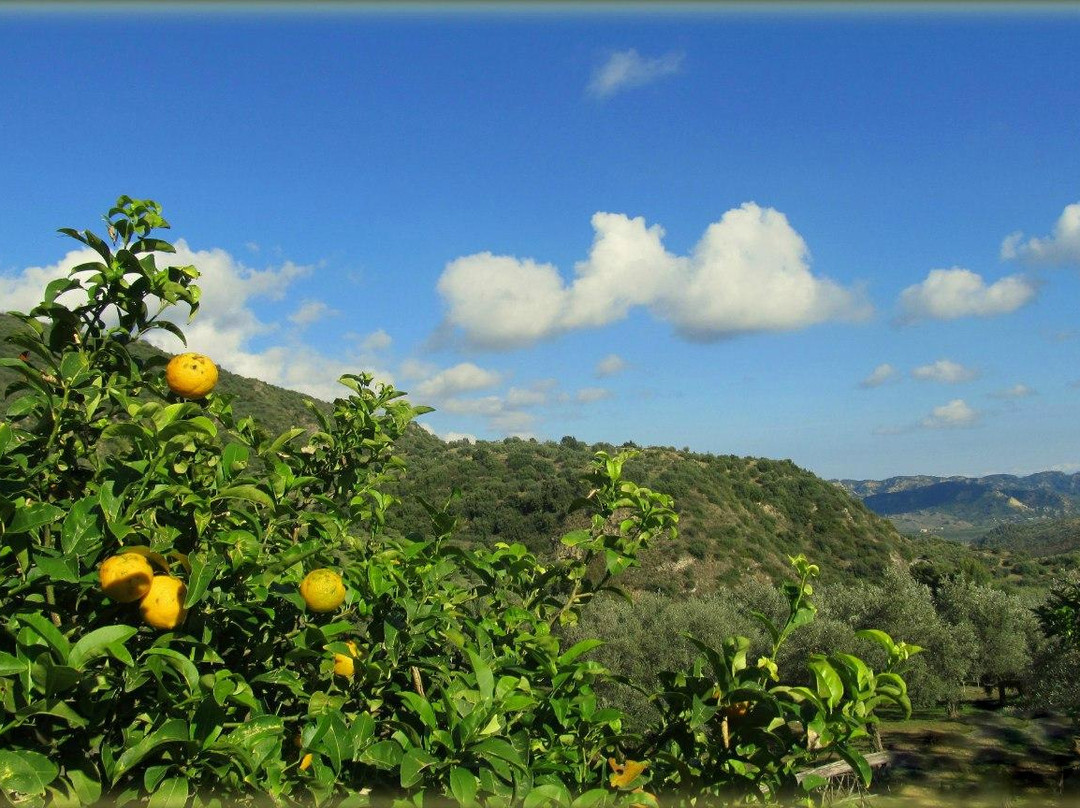 Agriturismo Armirò