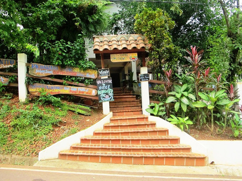 Hotel Iguanito