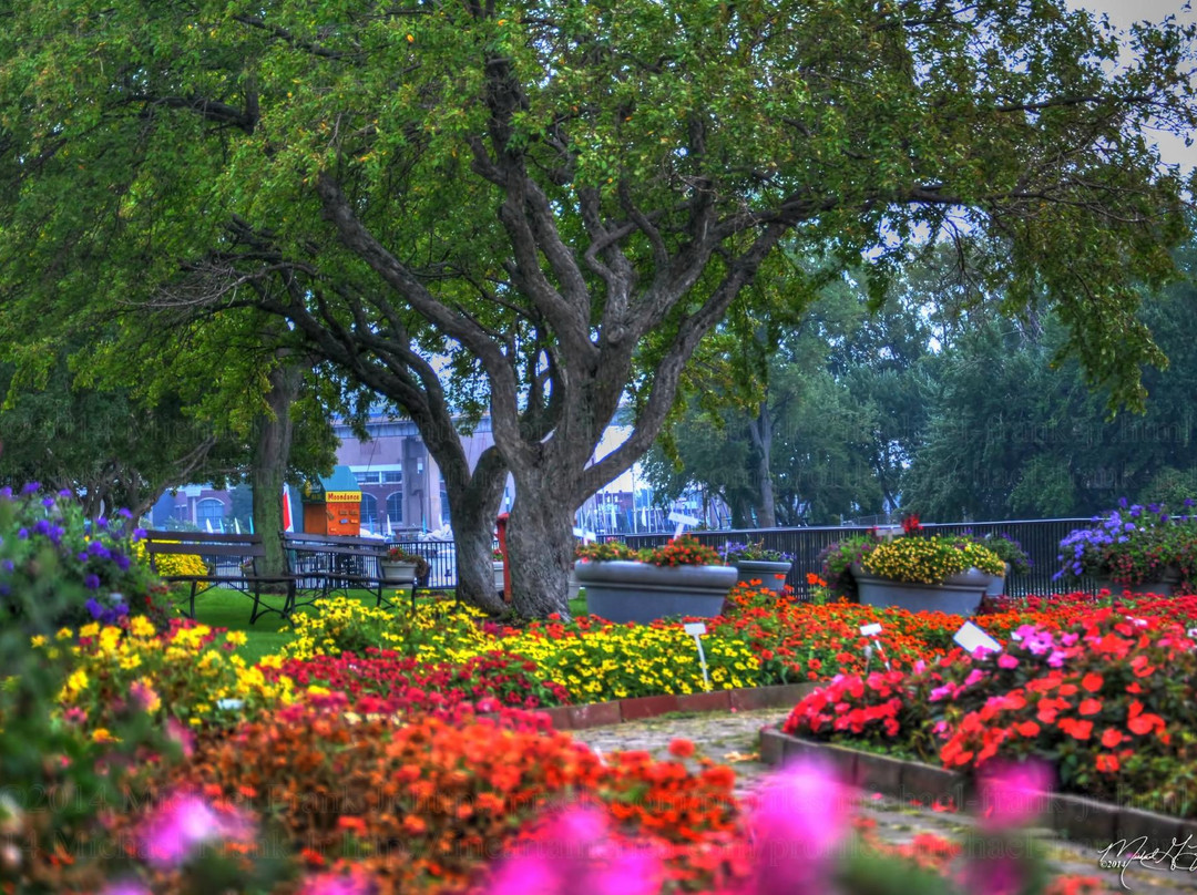 Erie Basin Marina Gardens景点图片
