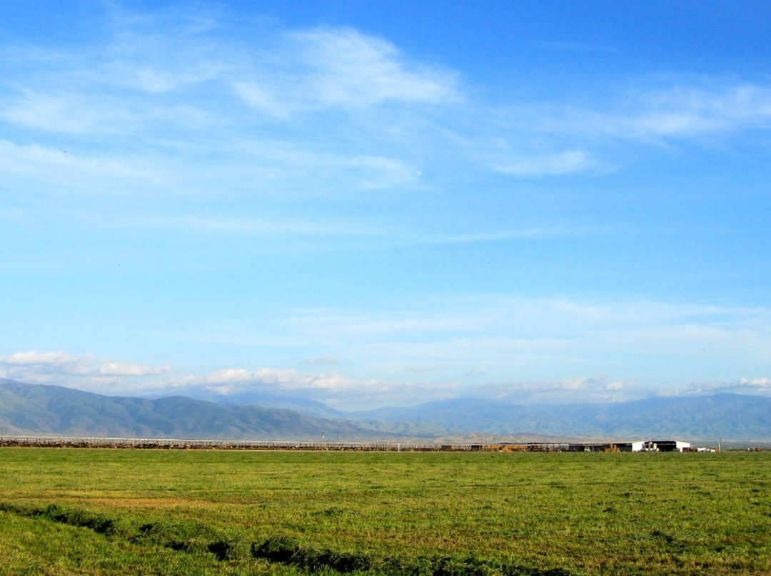 Weedpatch Camp-贝克斯菲尔德必去景点