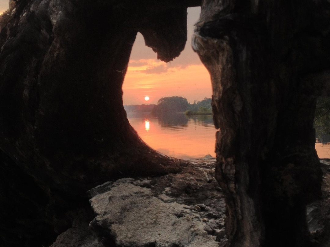 Lake Crabtree County Park景点图片