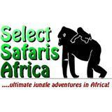 Rwanda Safari Trips - Gorilla Trekking Day Tour-吉佳利必去景点